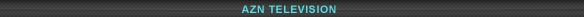 AZN Television